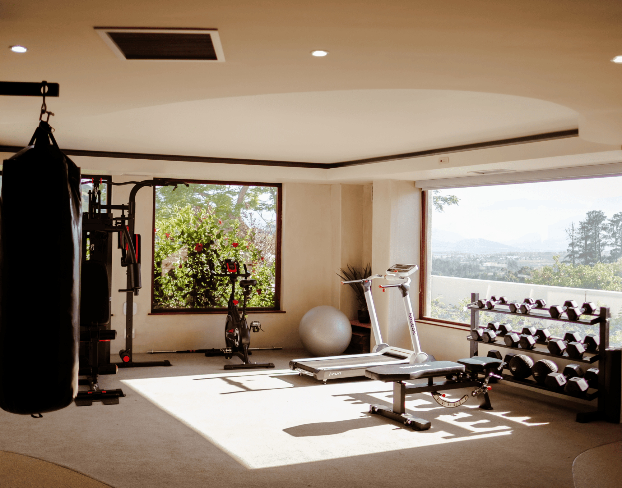 Private gym with treadmill, punching bag, weights, and exercise ball; part of your experience at Zeven Eike