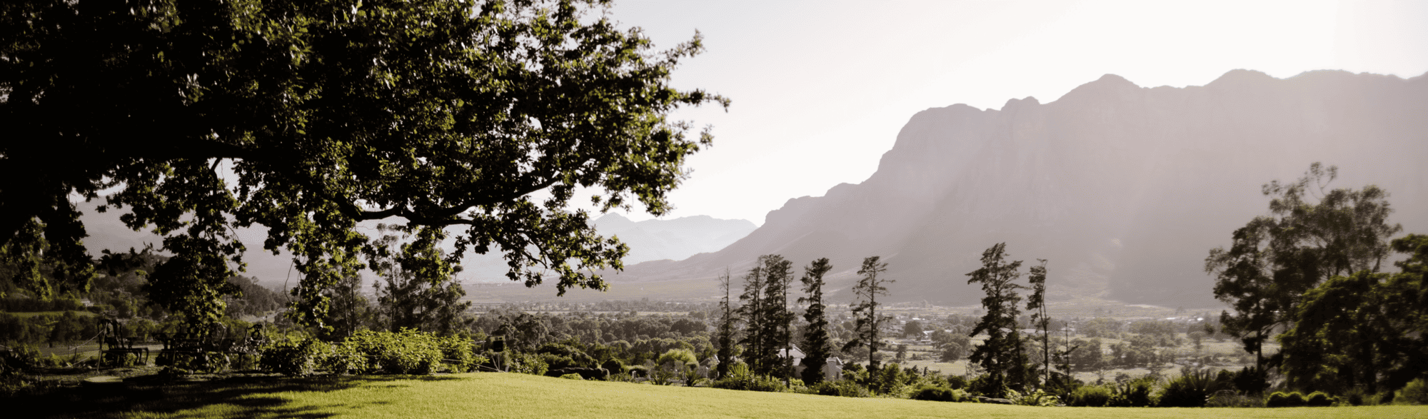 Lush green lawn with large oak tree and distant mountains, scenic landscape